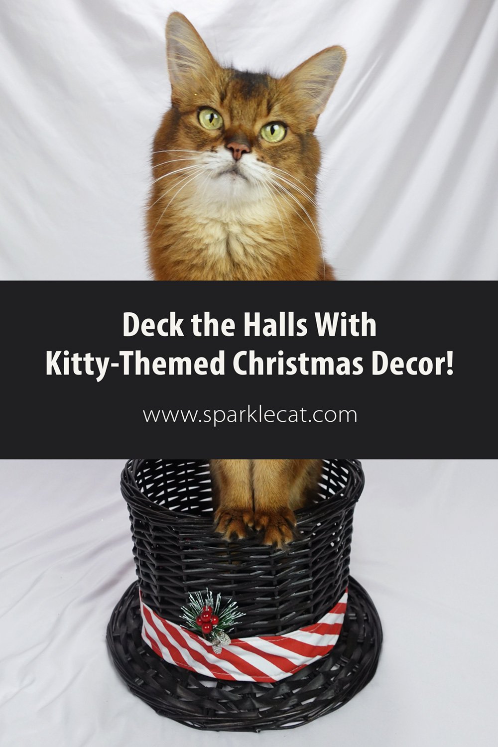 Cat Centric Christmas Decor - Summer’s Fabulous Cat Life