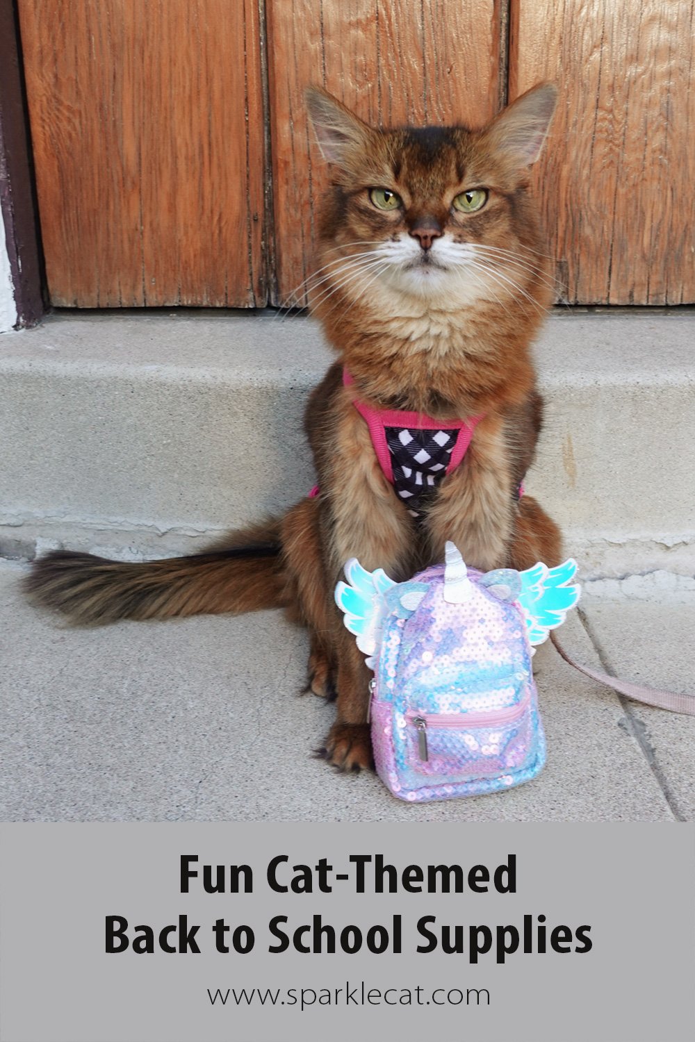 Fun Cat Themed Back to School Supplies - Summer’s Fabulous Cat Life
