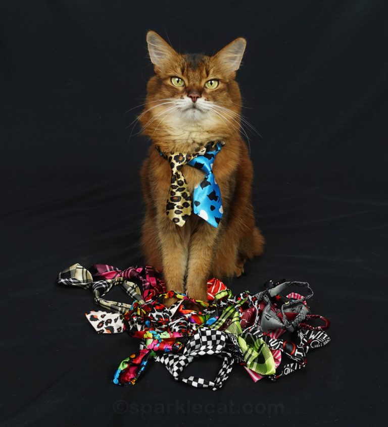 Shop Archives - Summer’s Fabulous Cat Life