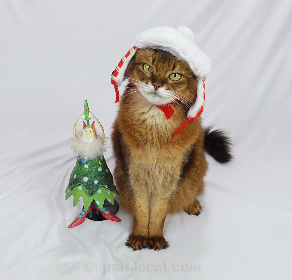 Cat Centric Christmas Decor - Summer’s Fabulous Cat Life