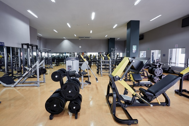 Gimnasio - Sportium