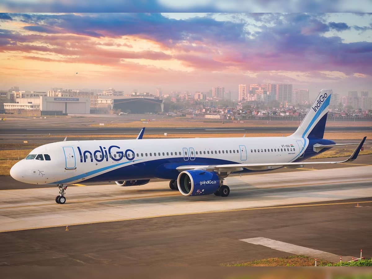Soaring High: Unveiling The Success Story Of IndiGo Airlines