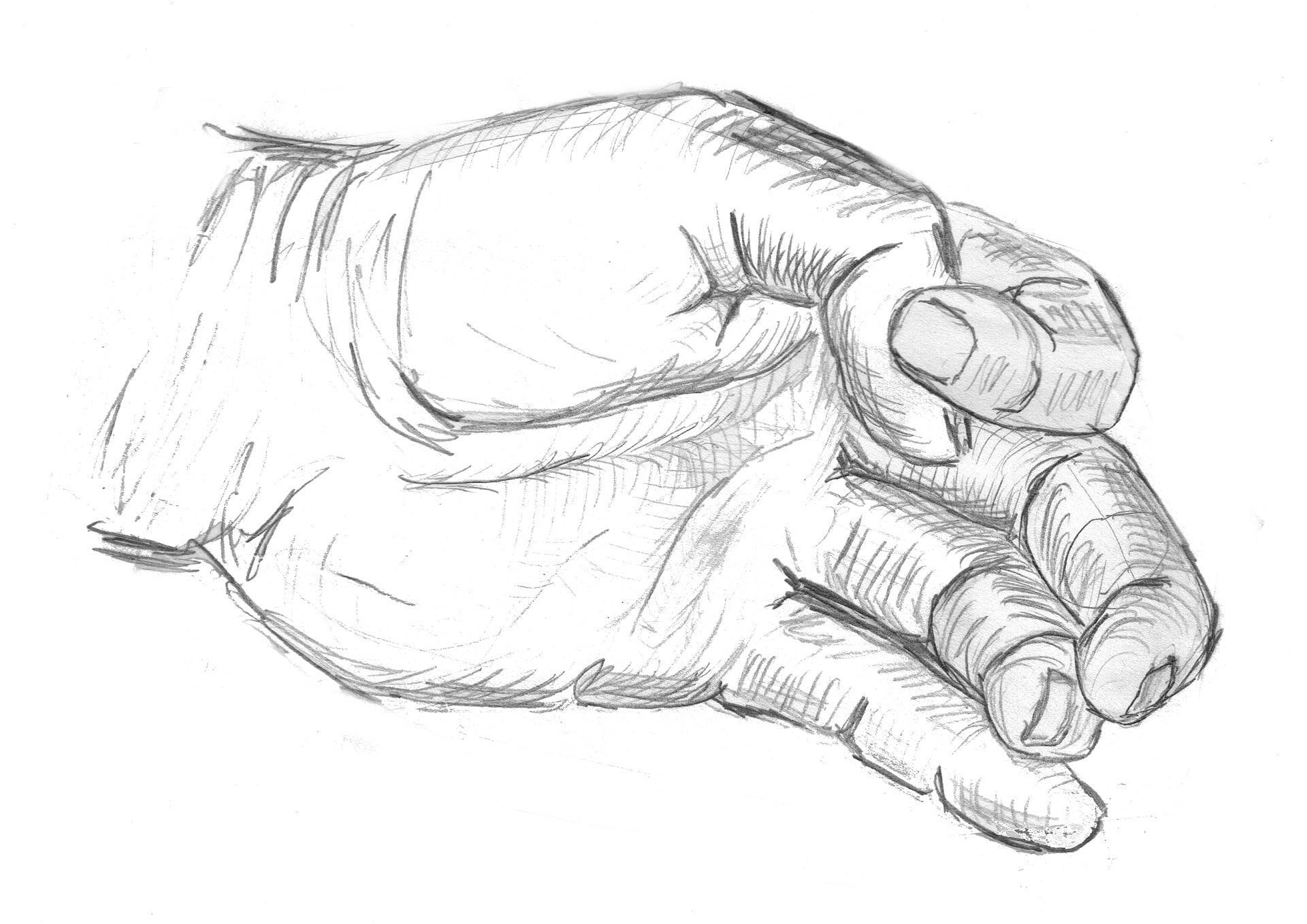 A Guide To Life Drawing | Superprof