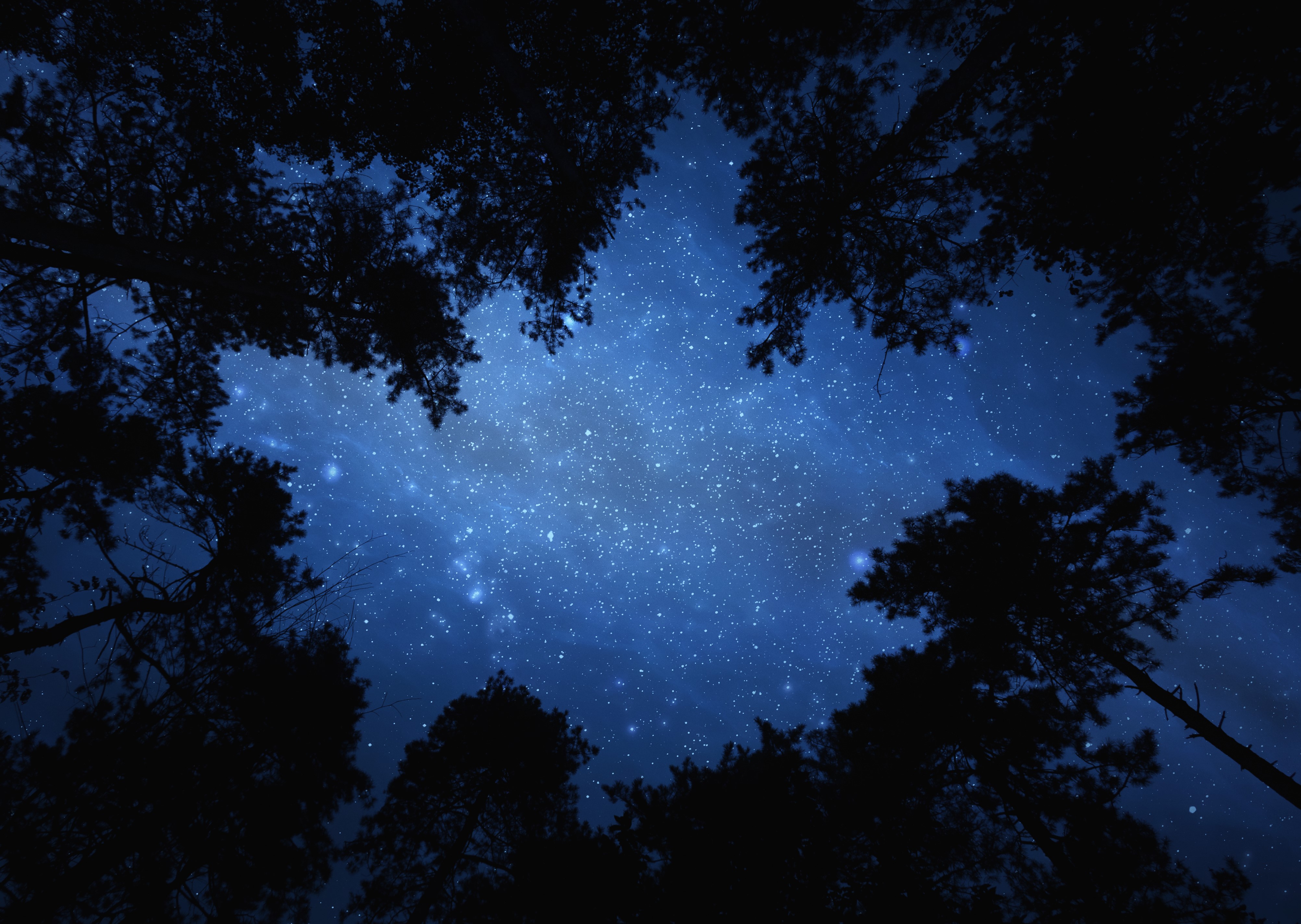 Not the &quot;Normal&quot; Night Hike - TeachBeyond UK