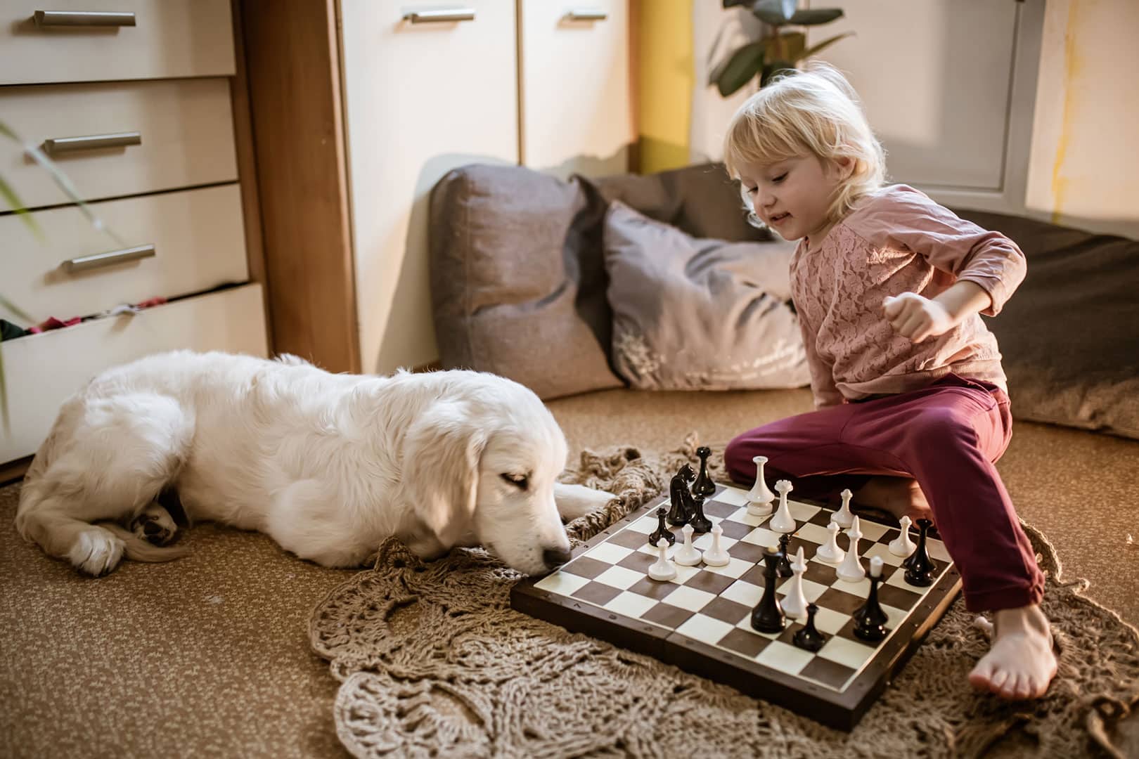 Children Exposed To Pet Cats Or Indoor Dogs Tended To Have Fewer Food Allergies