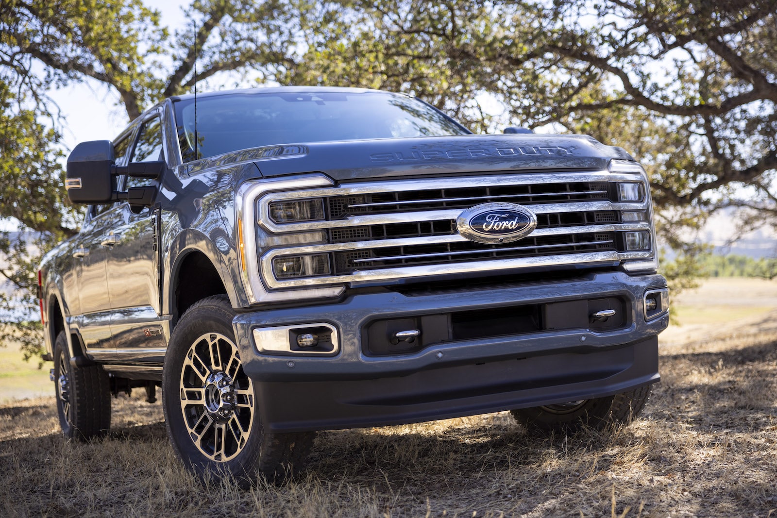 Ford 2024 Super Duty Build - Beryl Leodora