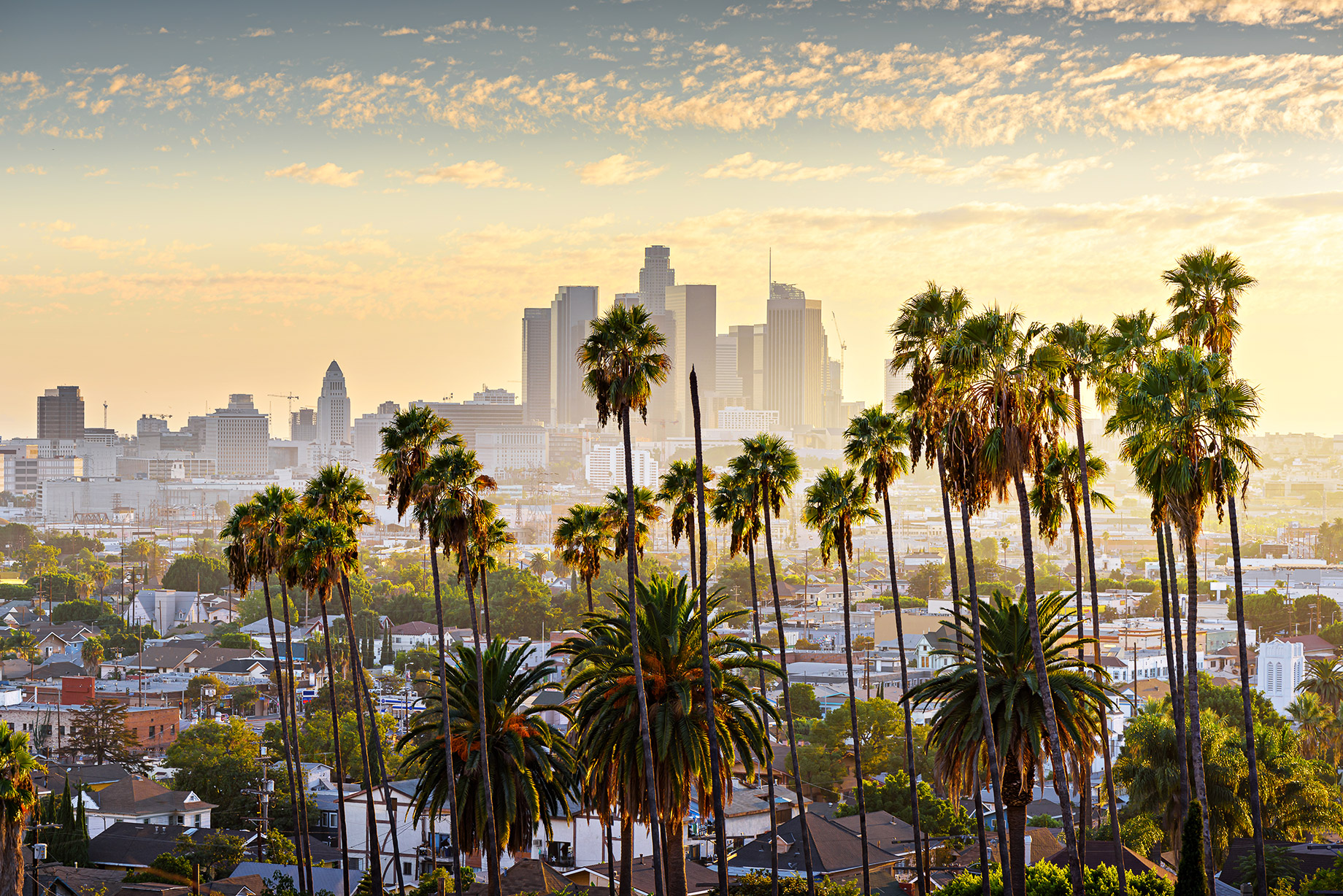 Cityscape with Palm Trees at Sunset – Los Angeles, California, USA – The Pinnacle List