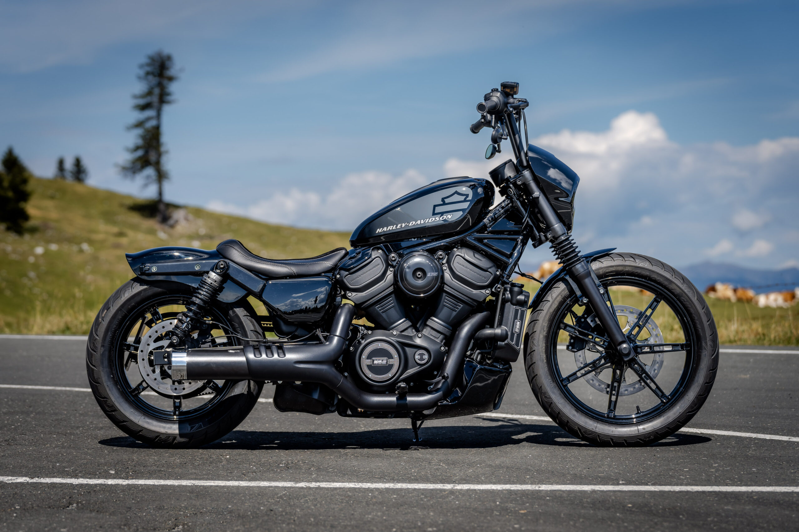 Thunderbike Night Flyer • Harley-Davidson • Sportster • Nightster