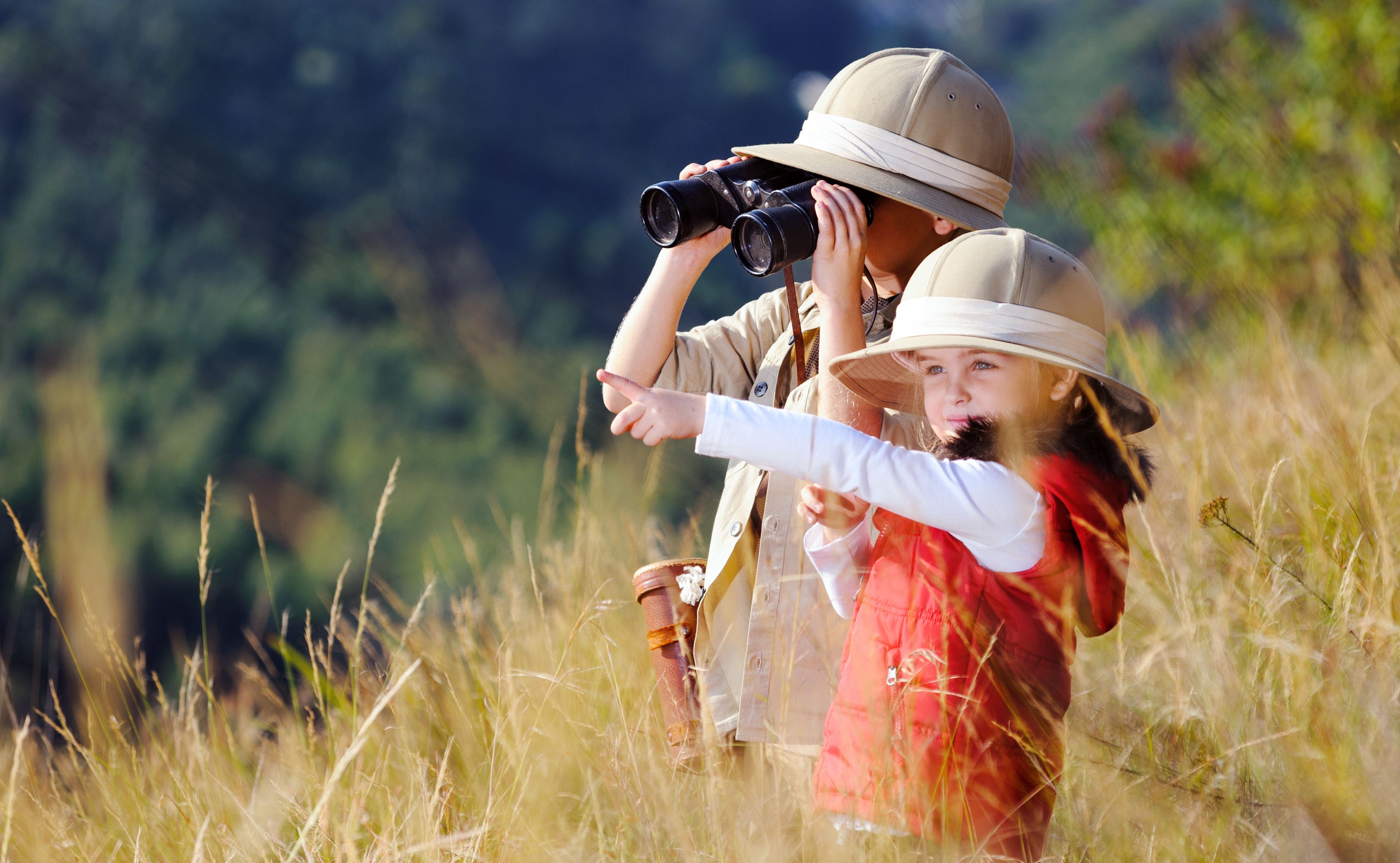 African Safari Tips - 8 Things To Consider For A Safari!