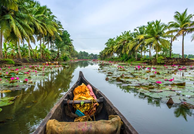 Plan A Trip To Kerala - A Complete Travel Guide To Kerala