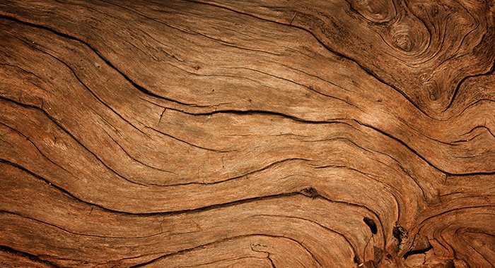 Things you Should Know about Wood