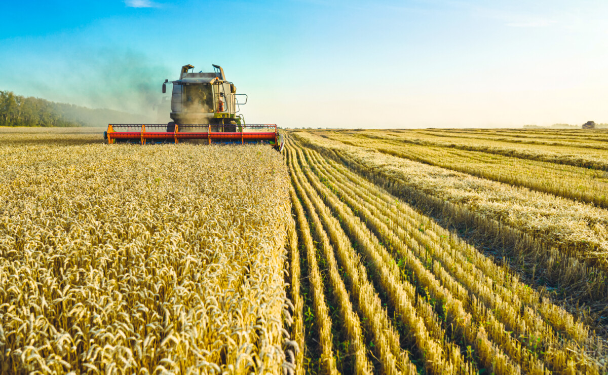 Comment L&#39;agriculture Influence-t-elle La Biodiversité