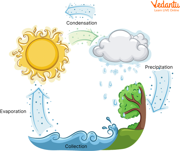 Water Cycle: Learn Definition, Properties and Facts
