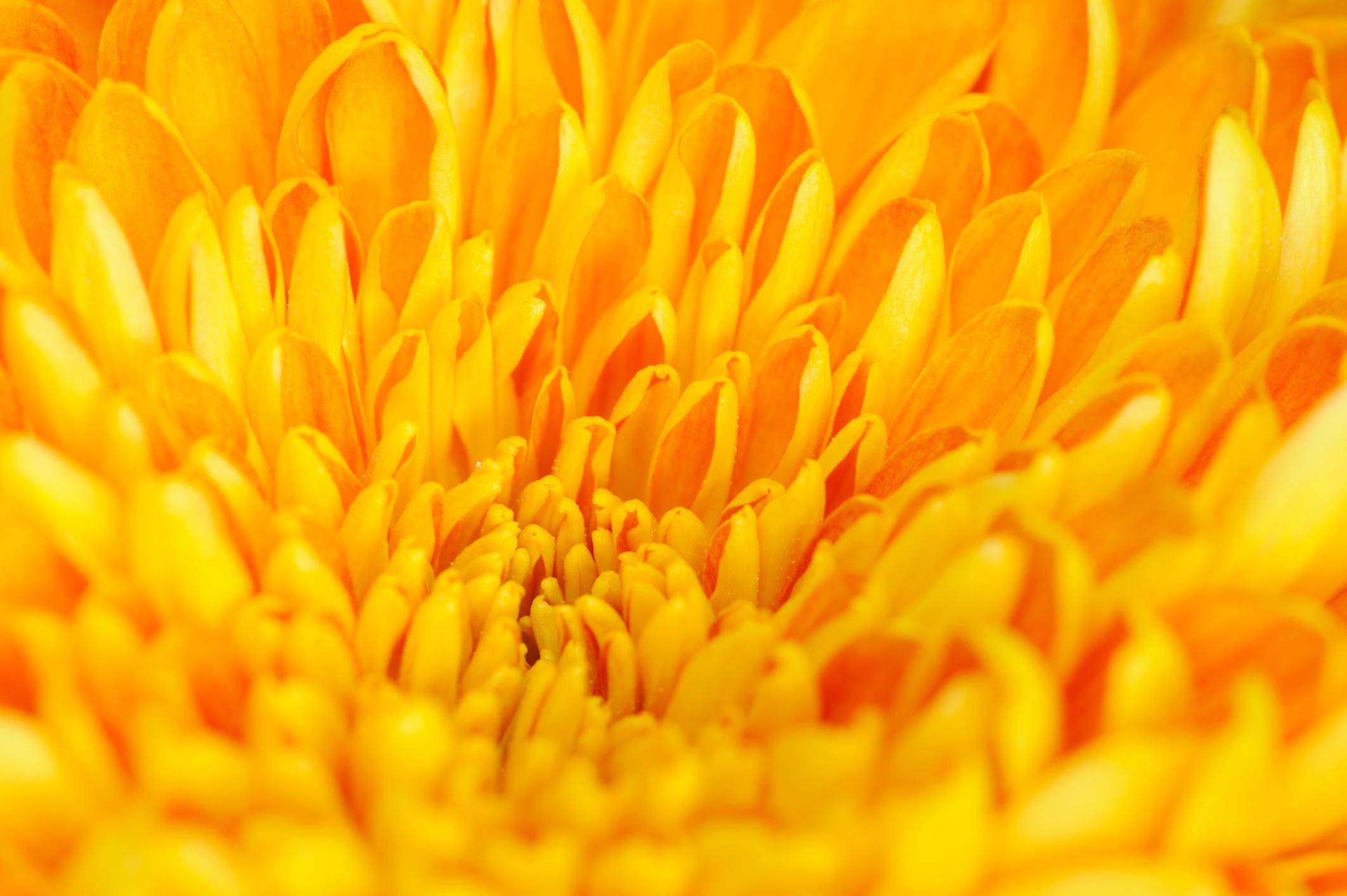 The Color Psychology Of Yellow