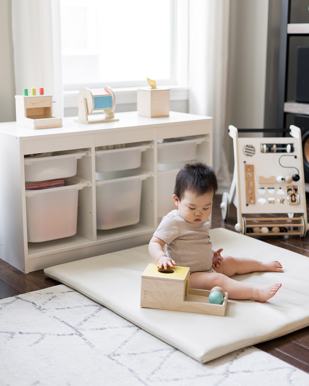 Toy Storage For Living Room Ideas | Cabinets Matttroy