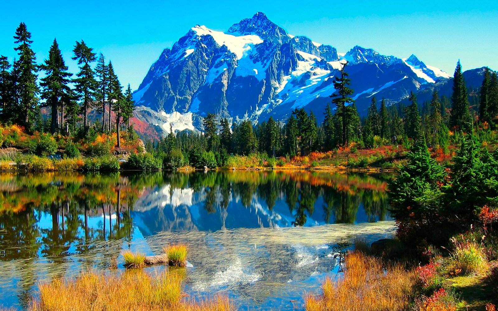 Download Beautiful Scenery Widescreen High Quality