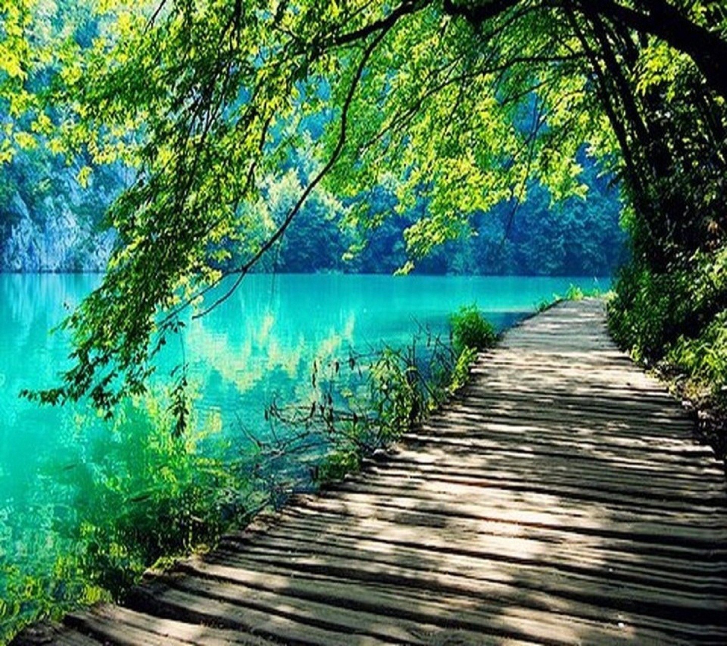 Amazing Nature Wallpaper 10047797 - Wallpics.Net - Wallpapers, Photos, Pictures, Backgrounds