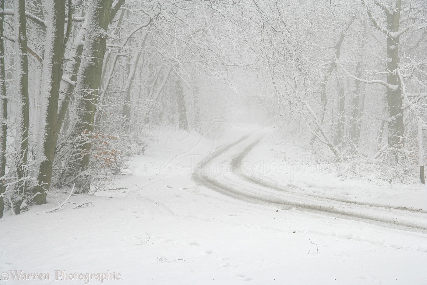 Snowy Road With Misty Atmosphere Photo WP14691