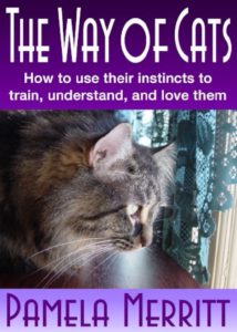 Cat Conferences, when they discuss things. - Way of Cats