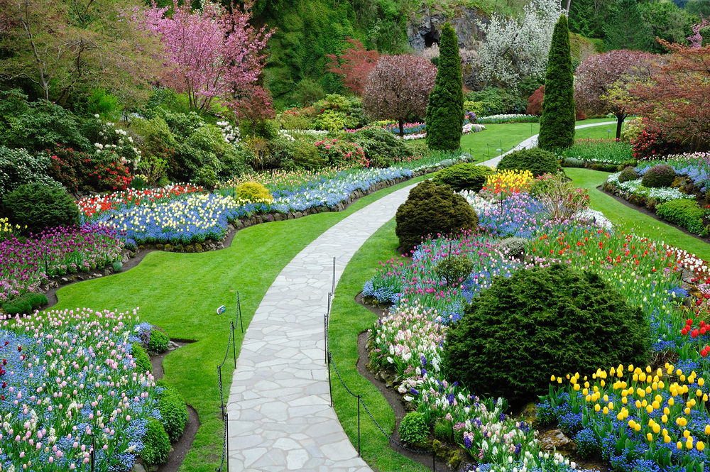 10 useful tips and a bit strange for a perfect garden - Web Magazine Today