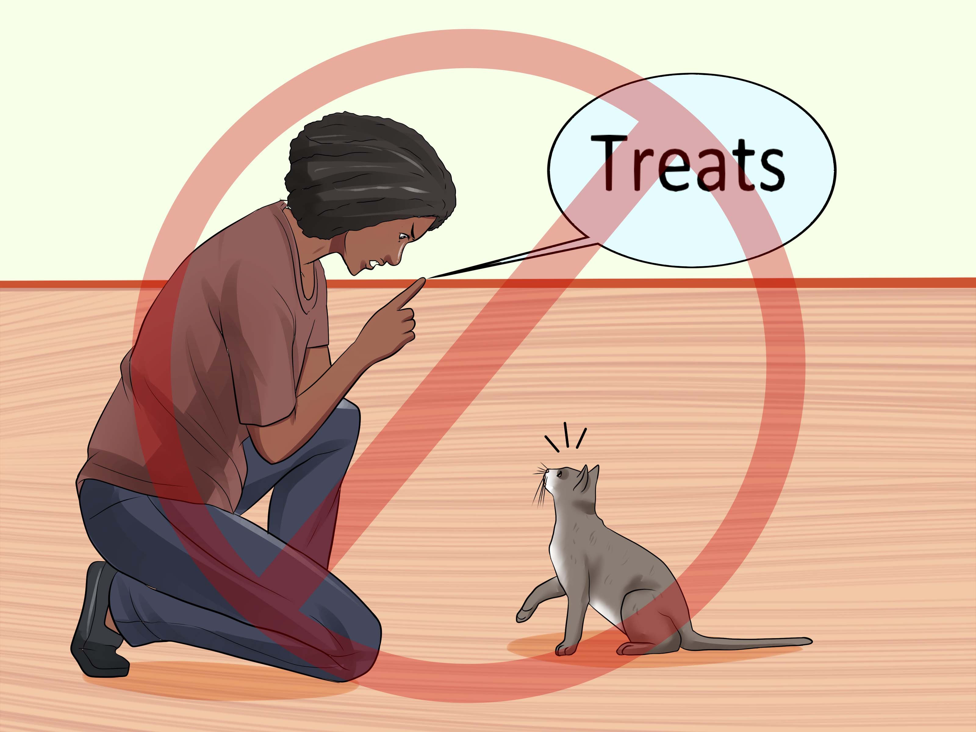 How to Train Your Cat to Come to You: 14 Steps (with Pictures)