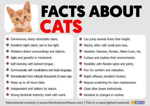 Facts about Cats